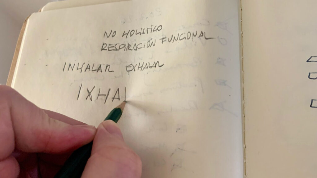 el orden correcto lo que va antes del logo