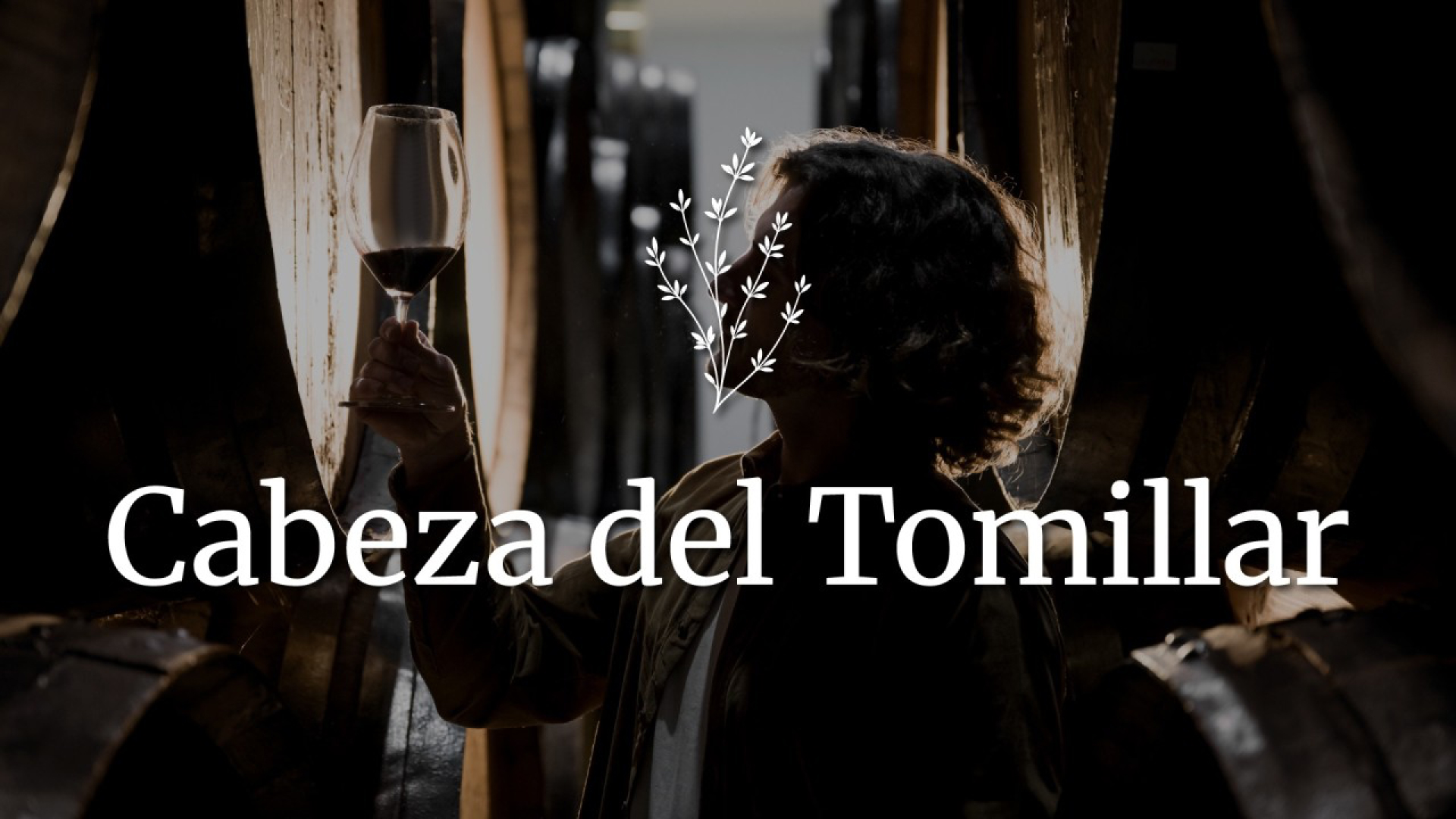 una bodega no recuerda el dia que eligio la tipografia